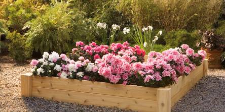 Raised Flower Bed